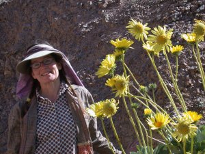 Panamint daisies