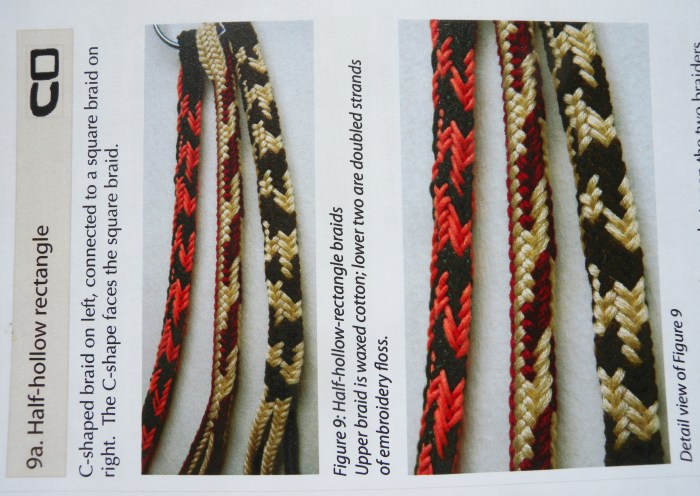 10-loop, 4-transfer Double braids with 3 turned loop transfers - Half-hollow shape. (Strands That Move article on double braids). loopbraider.com. Fingerloop, loop-manipulation braiding